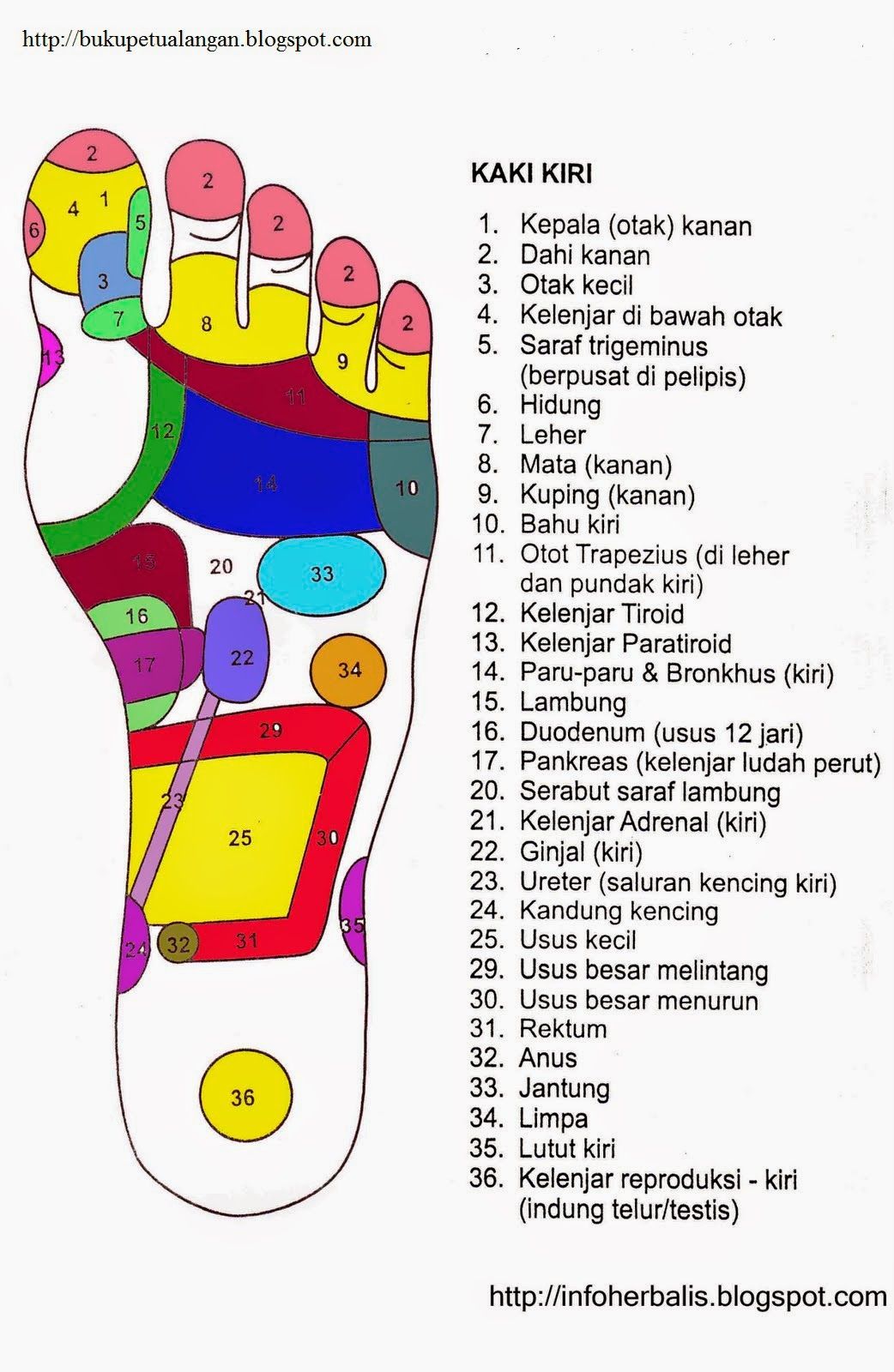 diterapi ratu givana